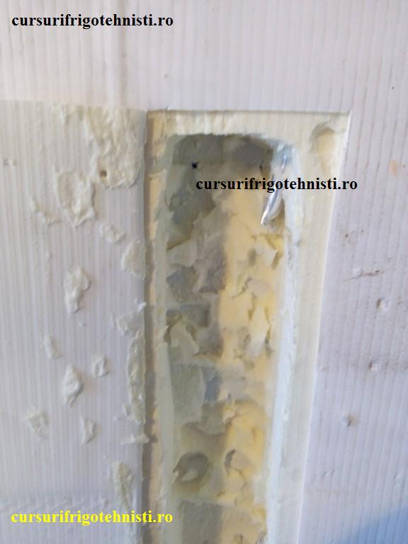 IMG_20150105_101057 (Custom).jpg