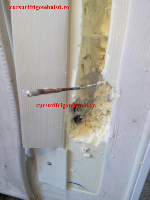 IMG_20150105_101052 (Custom).jpg