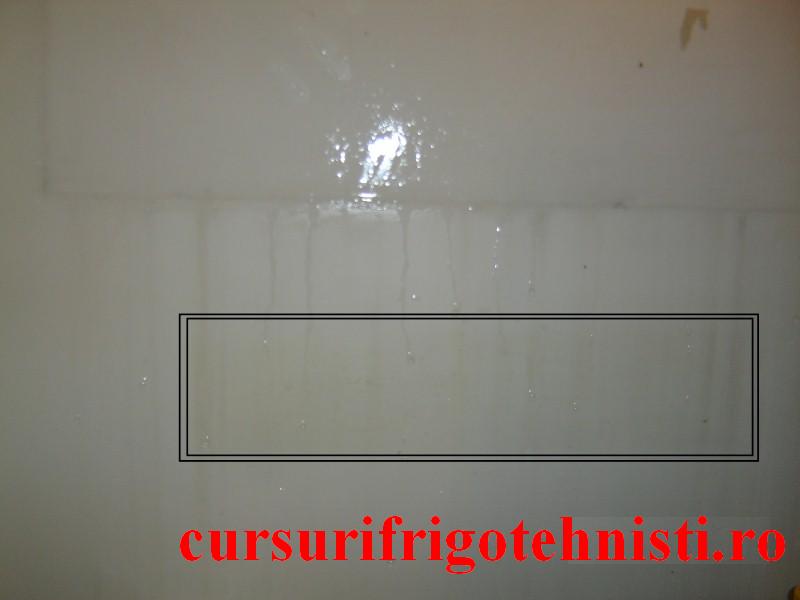 DSC09143 (Custom).JPG