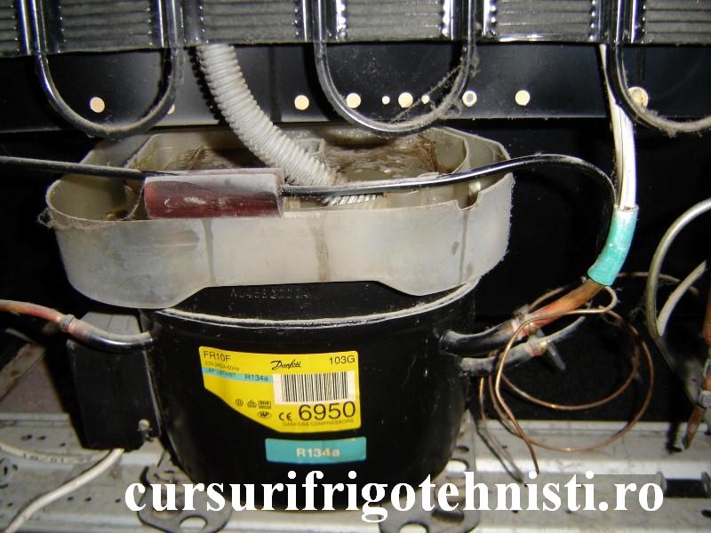 DSC09144 (Custom).JPG