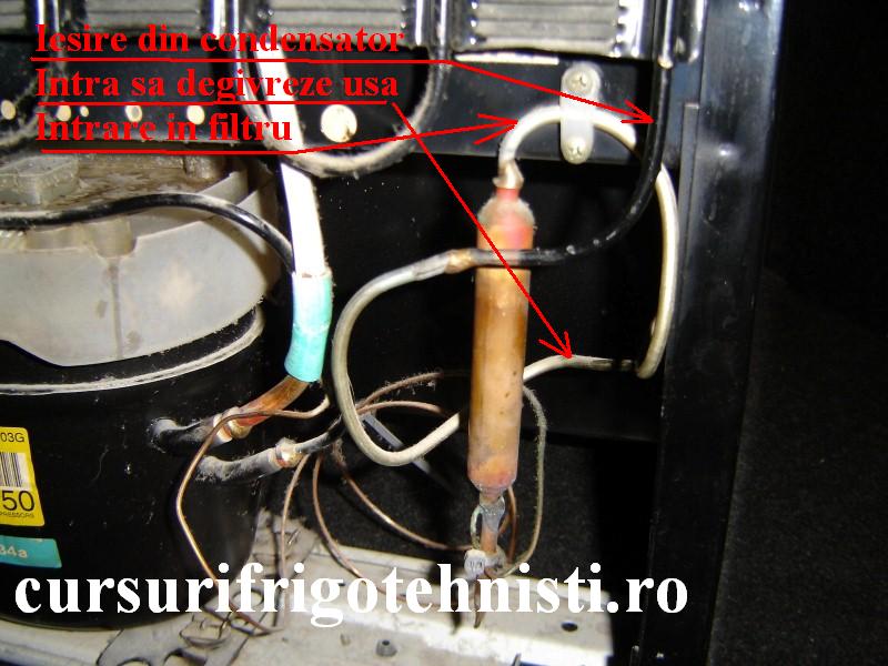 DSC09145 (Custom).JPG