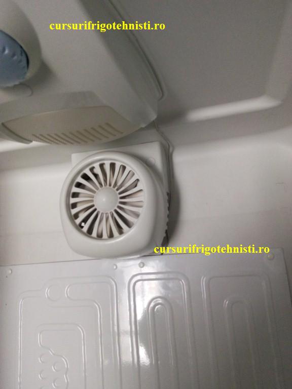 IMG_20150105_102307 (Custom).jpg