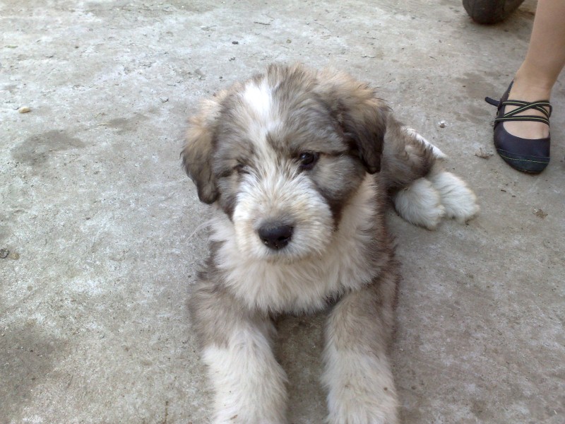 06052012248 (Custom).jpg