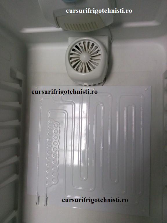 IMG_20150105_102302 (Custom).jpg