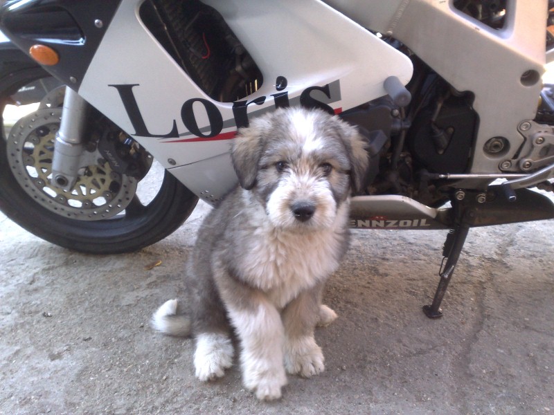 06052012249 (Custom).jpg