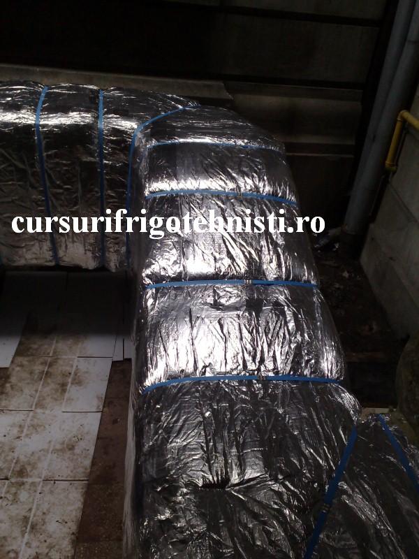 24012012220 (Custom).jpg