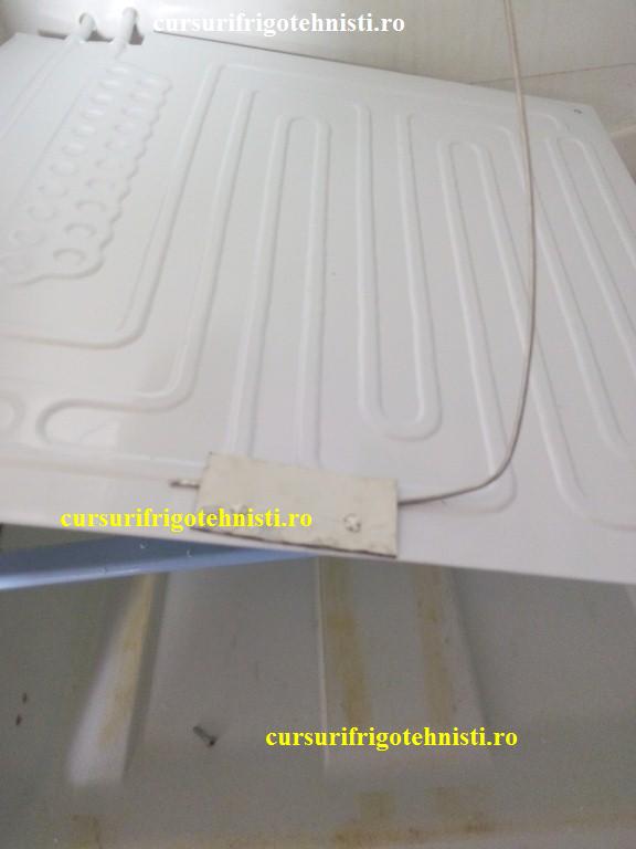 IMG_20150105_101906 (Custom).jpg