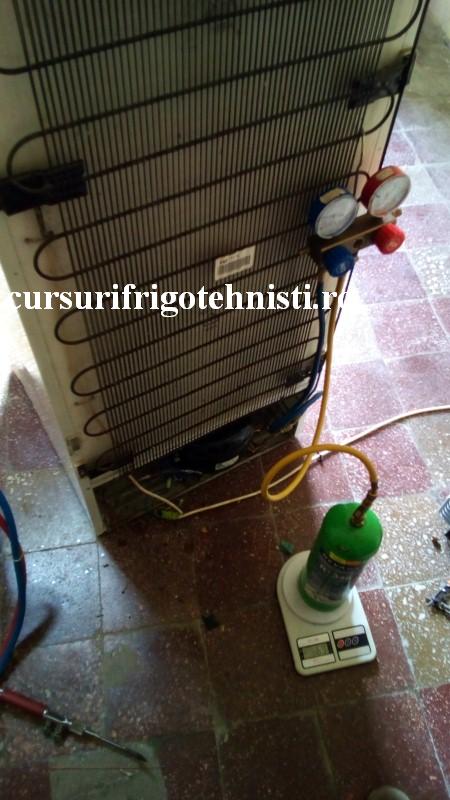 cantarul de 20 lei (Custom).jpg