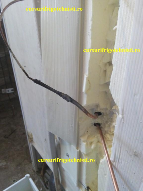 IMG_20150105_110933 (Custom).jpg