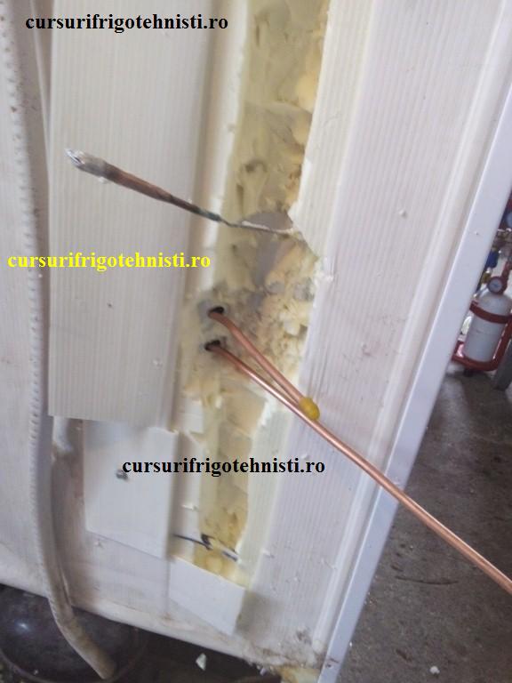 IMG_20150105_110220 (Custom).jpg