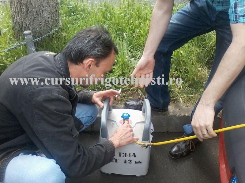 P27-05-16_09.53 (Custom).jpg