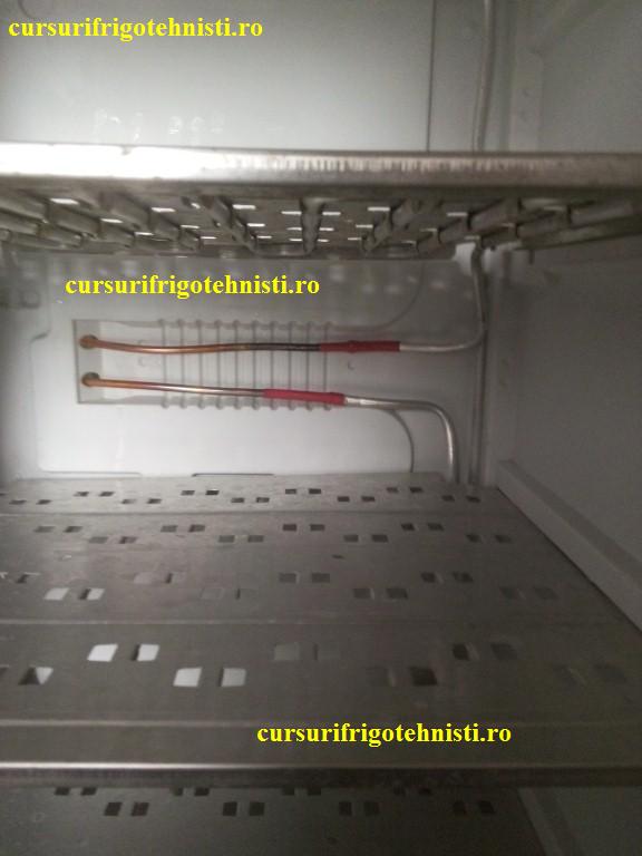 IMG_20150105_110206 (Custom).jpg