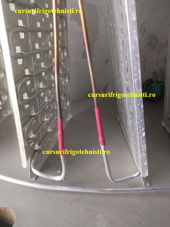 IMG_20150105_105707 (Custom).jpg