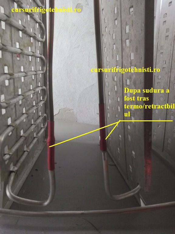 IMG_20150105_105658 (Custom).jpg