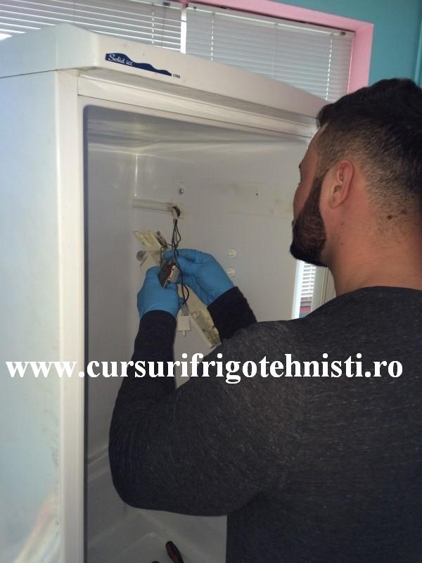 IMG_0198 (Custom).JPG