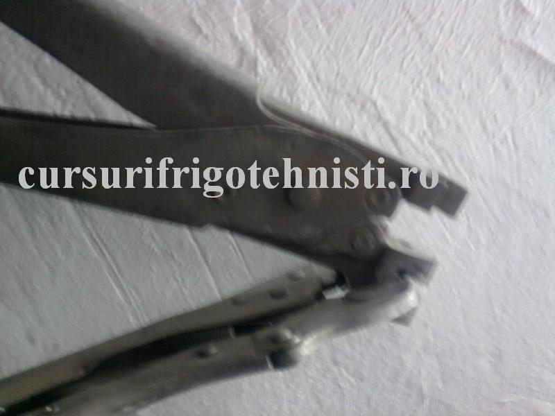 Fotografie0016 (Custom).jpg