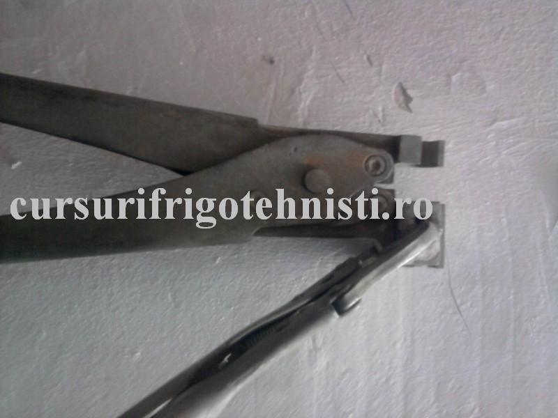 Fotografie0018 (Custom).jpg