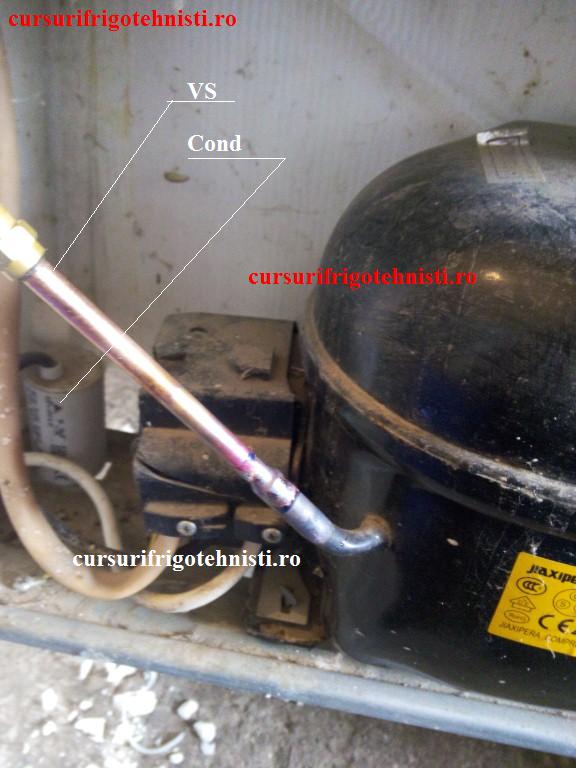 IMG_20150105_113155 (Custom).jpg