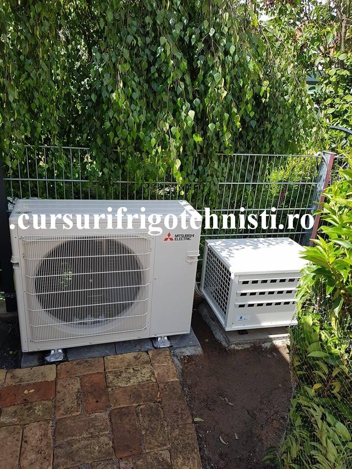 UE sunt frumos incadrate in mediu.jpg