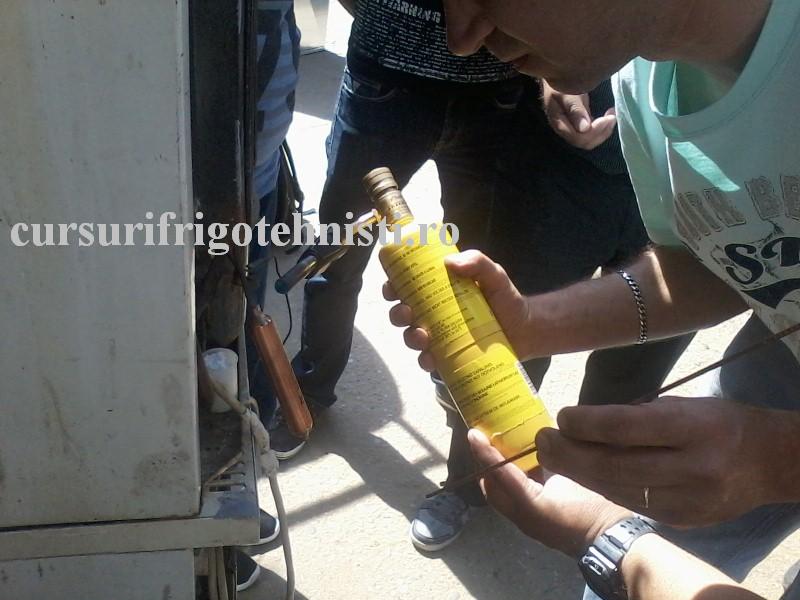 P10-06-16_10.41 (Custom).jpg