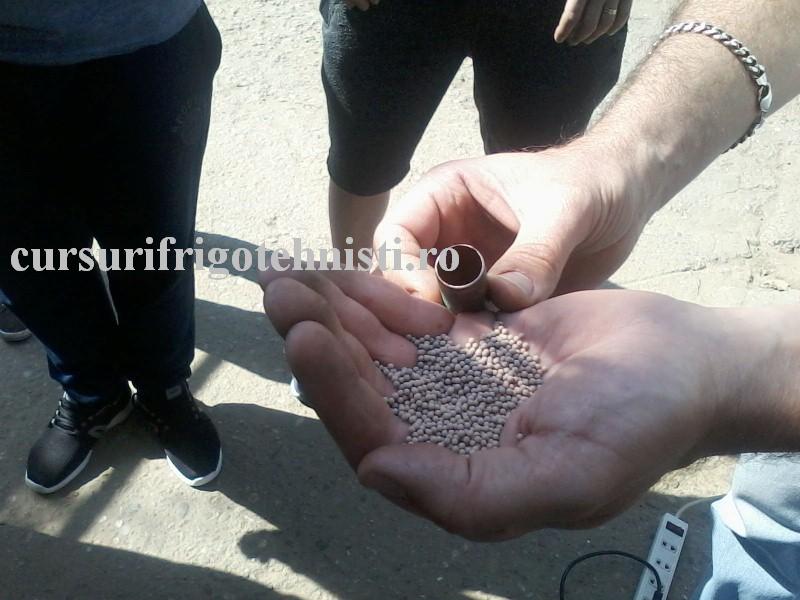 P10-06-16_10.18[01] (Custom).jpg