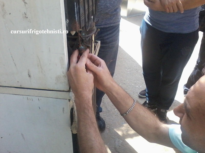 P10-06-16_10.18 (Custom).jpg