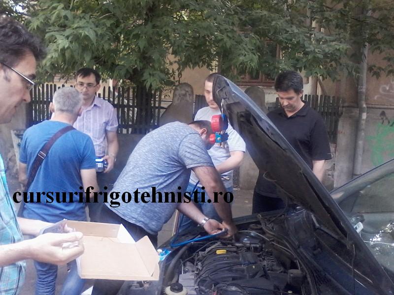 P11-06-16_11.17 (Custom).jpg