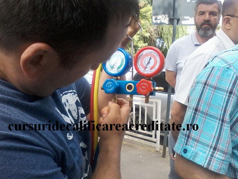 P11-06-16_10.59 (Custom).jpg