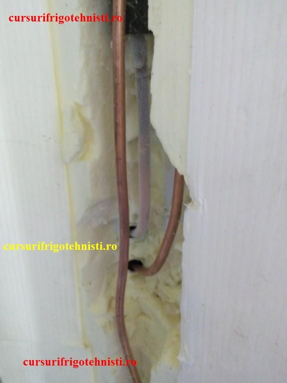 IMG_20150105_121725 (Custom).jpg