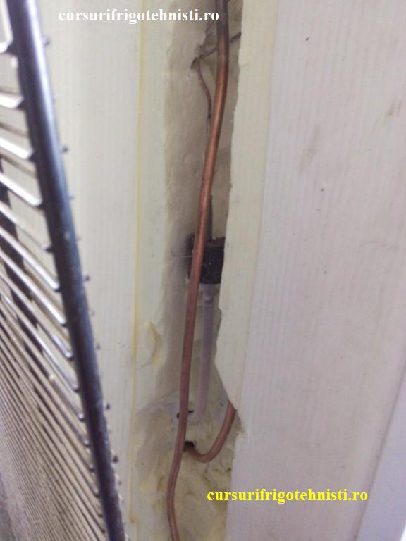 IMG_20150105_121702 (Custom).jpg