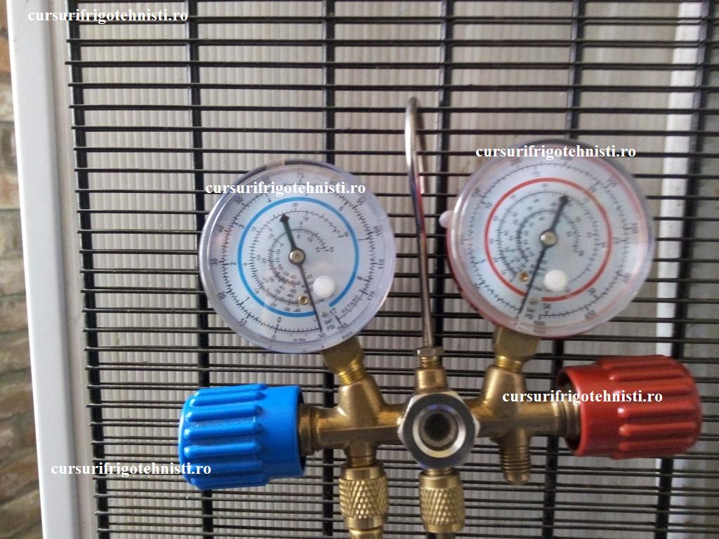 IMG_20150105_115647 (Custom).jpg