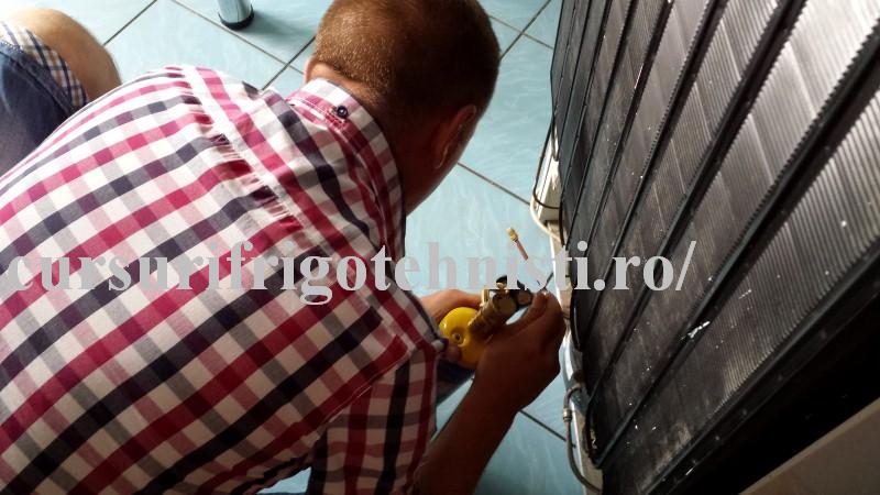 20130903_150522 (Custom).jpg