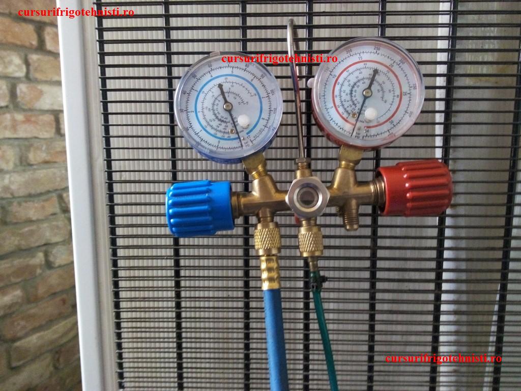 IMG_20150105_115644 (Custom).jpg