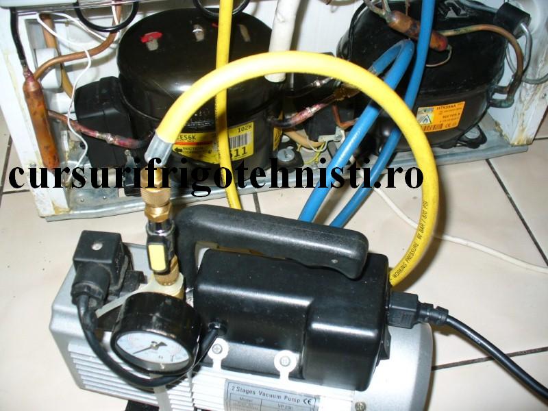 vac arctic (Custom).jpg