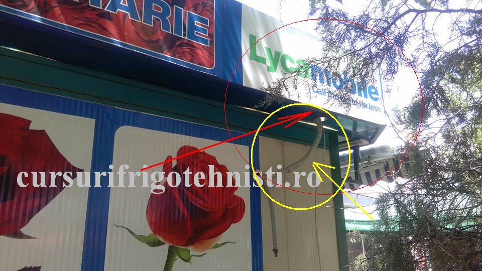 Pus de meseriasi vai steaua lui.jpg