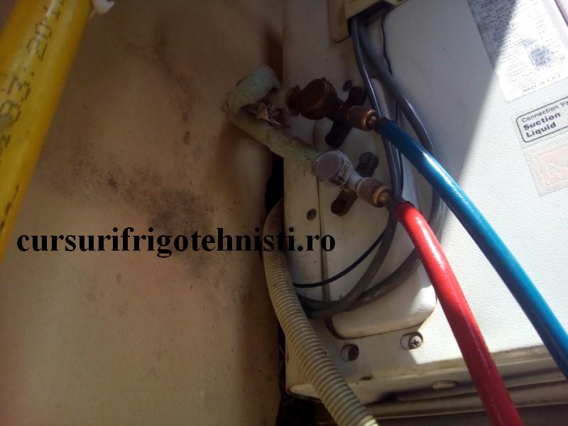 Am inceput inc ac 2 (Custom).jpg