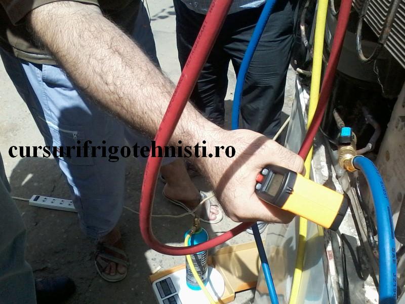 P17-06-16_11.44 (Custom).jpg