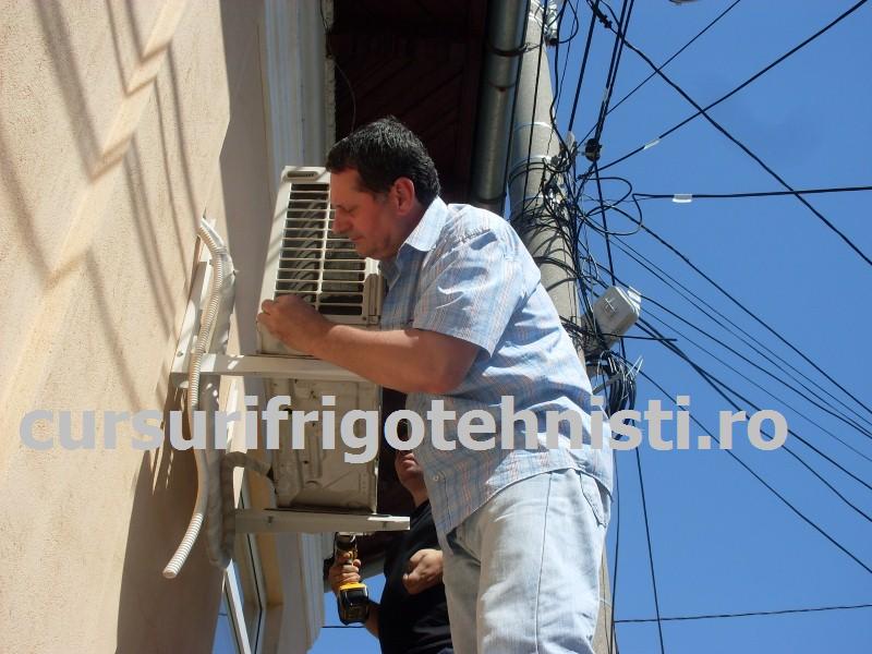 SDC10051 (Custom).JPG