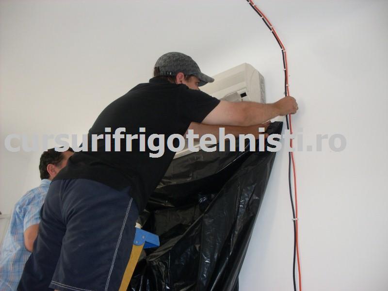 SDC10059 (Custom).JPG