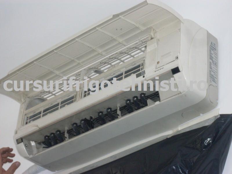 SDC10061 (Custom).JPG