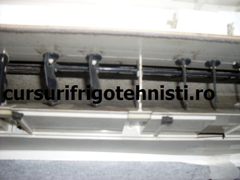 SDC10065 (Custom).JPG