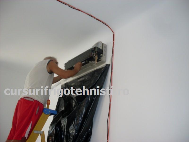 SDC10068 (Custom).JPG