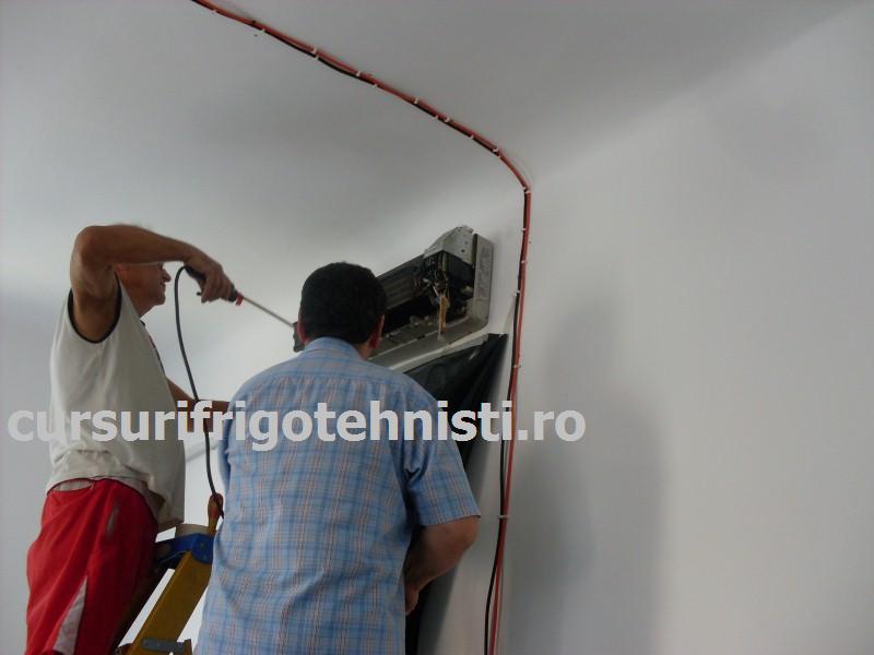 SDC10069 (Custom).JPG