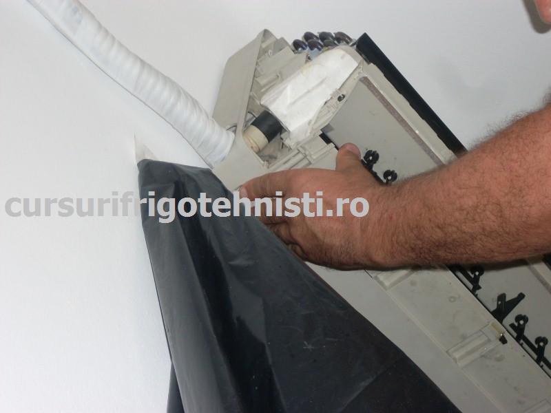 SDC10077 (Custom).JPG