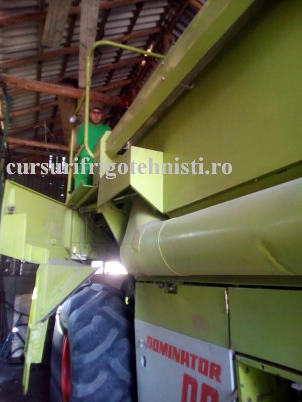 tot pe combina 4 (Custom).jpg