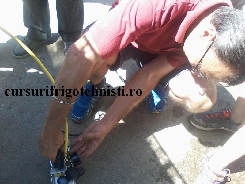 P08-07-16_11.51 (Custom).jpg