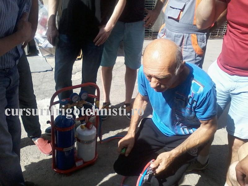 P13-07-16_10.12 (Custom).jpg