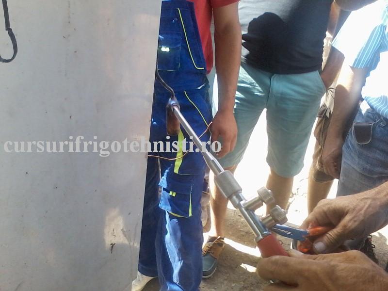 P13-07-16_10.13 (Custom).jpg