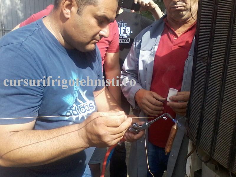 P13-07-16_10.30 (Custom).jpg