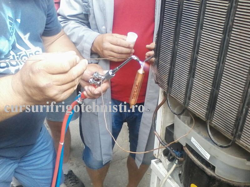 P13-07-16_10.30[01] (Custom).jpg